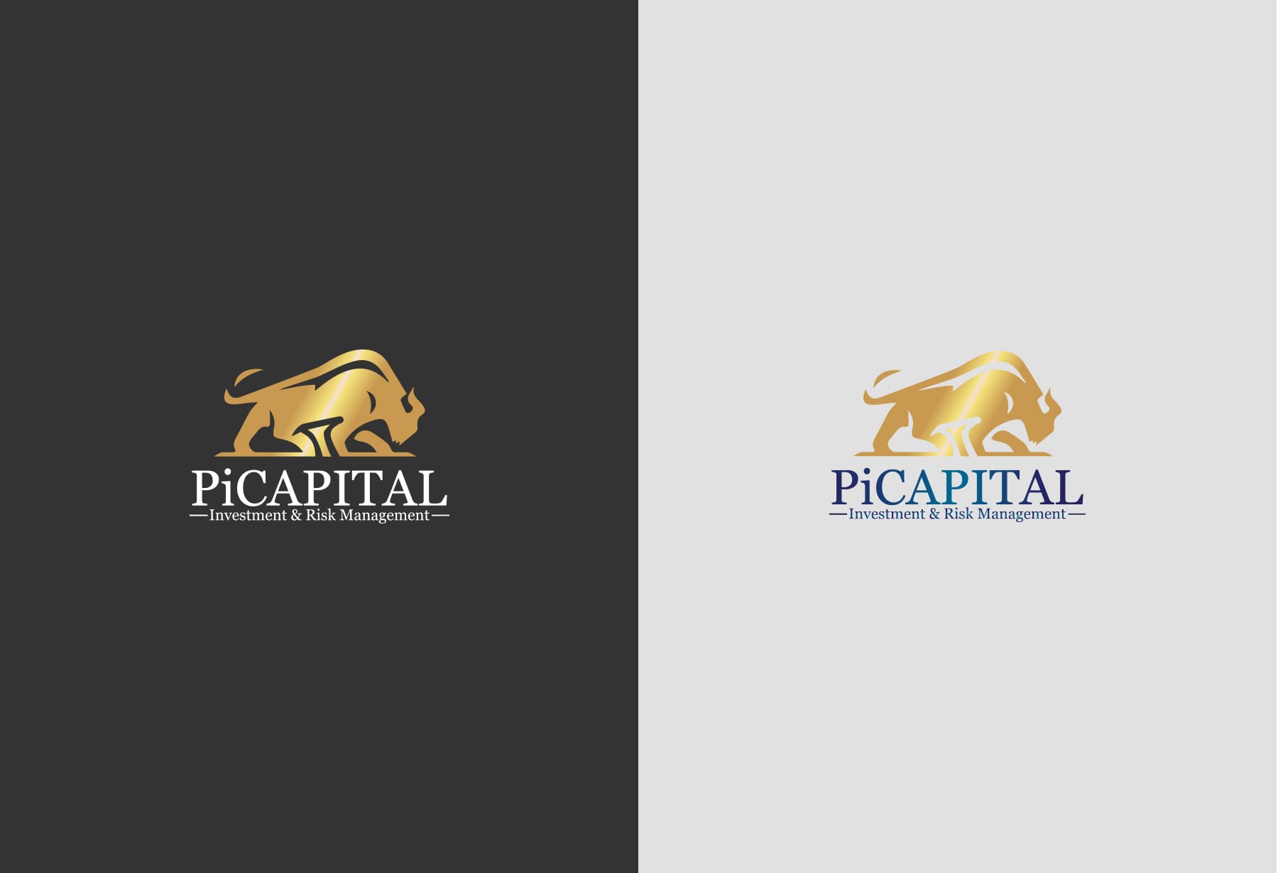picapital branding