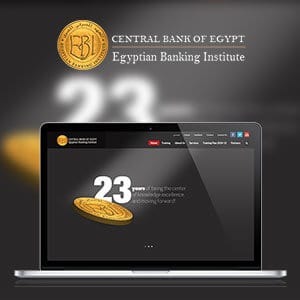 EGYPTIAN BANKING INSTITUTE