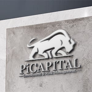 picapital branding