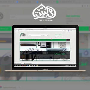 felbet website design